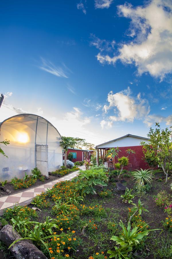 Cabanas Keuhenua Hanga Roa Ngoại thất bức ảnh